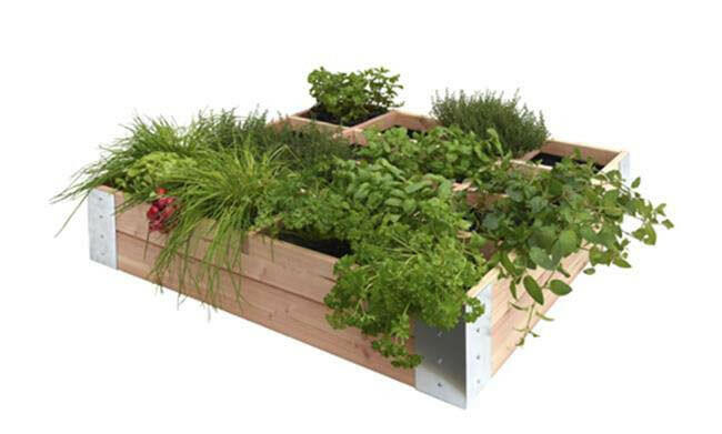 Douglas Minigarden Lina