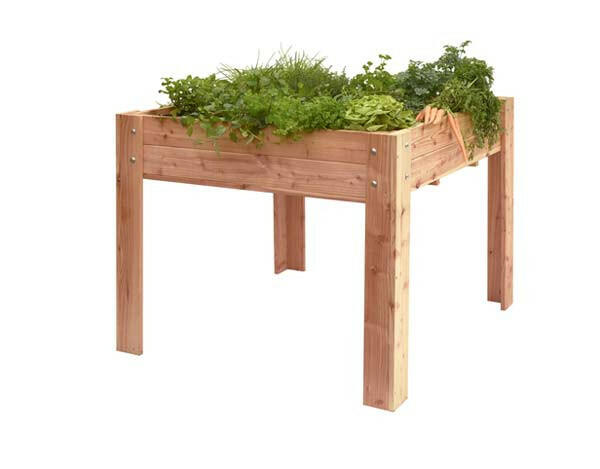 Douglas Minigarden Noa