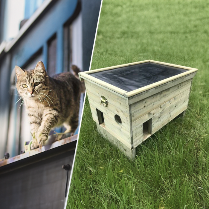 Refuge de luxe pour chats (errants)