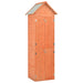 Tuinberging 71X60X213 Cm Hout